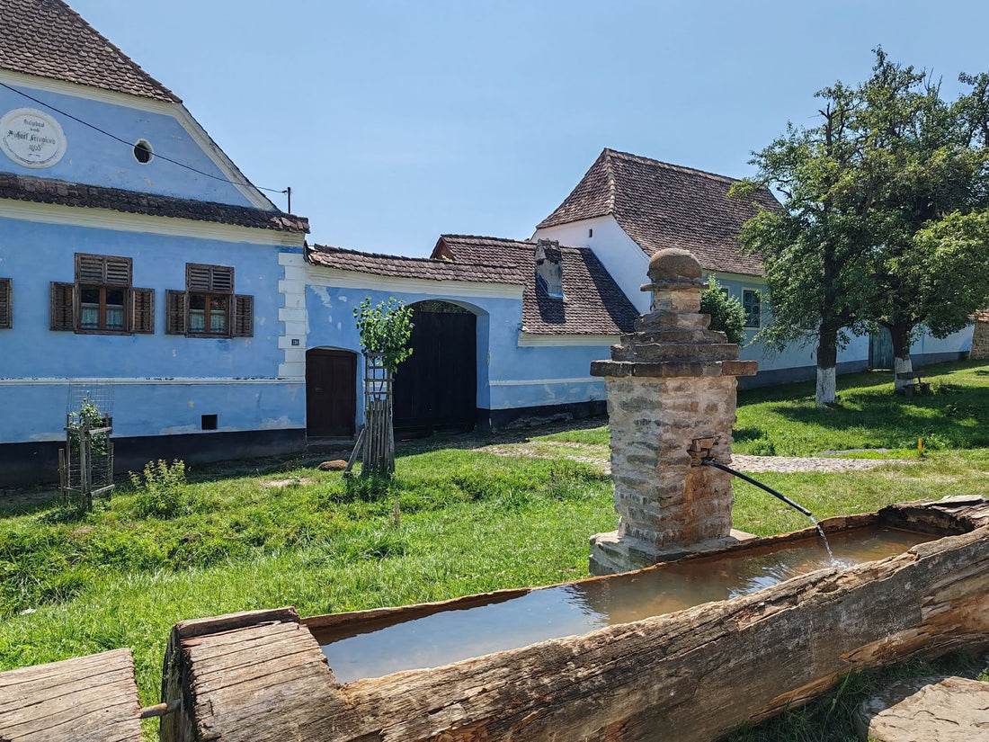 Viscri, Romania: Inside the Fortified Saxon Village a Future King Chose to Save
