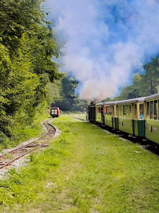 Mocănița Vaserului: Riding Europe's Last Working Forest Steam Train